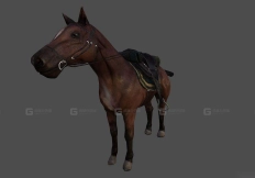 马 Horse 26