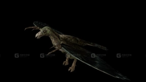 古蜥 Archeosaurus 0