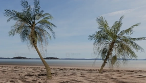 海滩小景 Beach Vignette