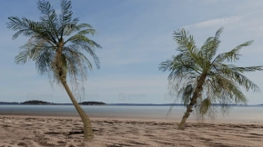 海滩小景 Beach Vignette