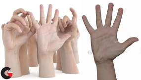 写实手臂手掌扫描模型 ULTIMATE MALE HANDS PACK