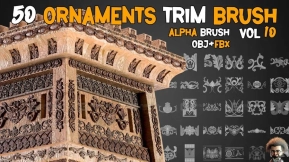 50个装饰花纹雕花浮雕笔刷+alpha贴图 50 Ornaments Trim Brushe – Vol 10