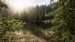【UE】树Nanite  Nanite Trees Vol.1