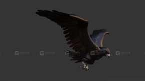 鹰 Eagle 45