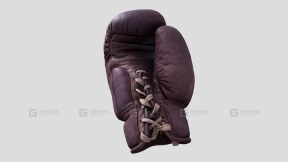 扬·比安加的右拳击手套 - Jan Bianga's right boxing glove