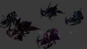 蝗虫 Locust 28
