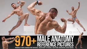 970+男性解剖肌肉结构参考图片 970+ Male Anatomy Reference Pictures