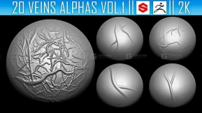 20个生物皮肤血管静脉Alpha贴图