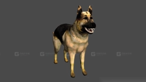 狗 Dog 15