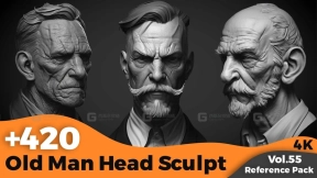 Zbrush老年男性头部雕刻参考图集 +420 Old Man Head Sculpt References(4k)