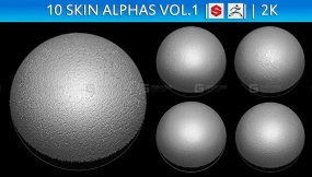 10组人体皮肤细节Alpha贴图  10 Skin Alphas (ZBRush, Substance, 2K)