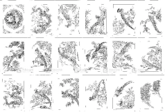 301种传统苏绣刺绣黑白花纹图案