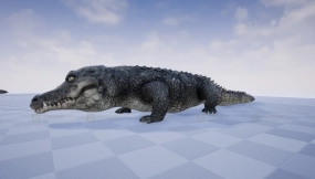 【UE】鳄鱼  CROCODILE