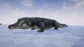 【UE】鳄鱼  CROCODILE