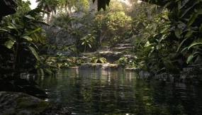 丛林通道 The Jungle Pass