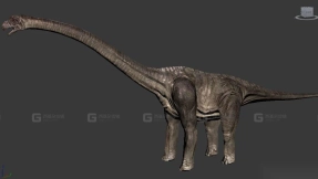 Brachiosaurus1 - 腕龙1