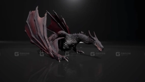 【UE】龙（双足飞龙）  Dragon (Wyvern)
