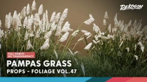 【UE】植被系列第47卷 - 蒲苇草（纳米技术 - 无透明效果）  Foliage VOL.47 - Pampas Grass (Nanite - NO TRANSPARENCY)
