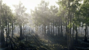 【UE】秃柏沼泽  Bald Cypress Swamp