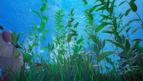 【UE】礁石套件  Reef Kit