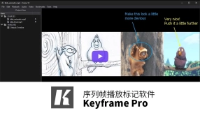 Keyframe Pro 序列帧播放标记软件