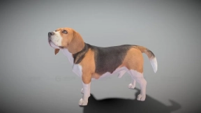 行走的狗 27 Walking dog 27