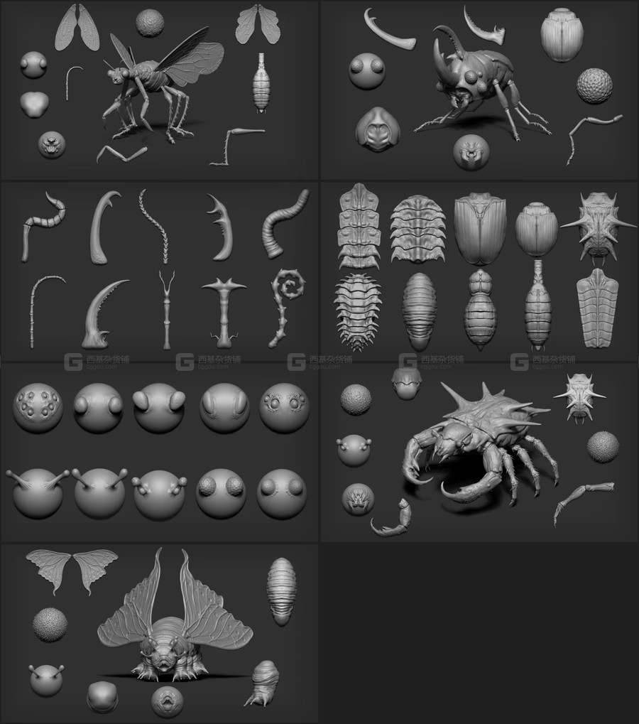 80个昆虫生物皮肤四肢翅膀笔刷 Zbrush + Blender - 80 Insectoid Creature Brush mega ...