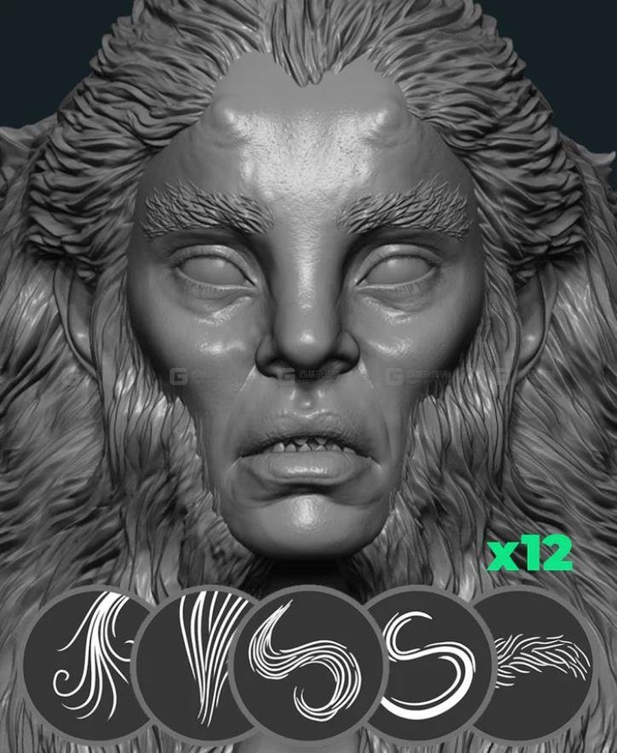 12个zbrush头发毛发笔刷曲线 ZBrush Sculpting Hair Brushes Pack _Zbrush笔刷_资源素材_西基杂货铺
