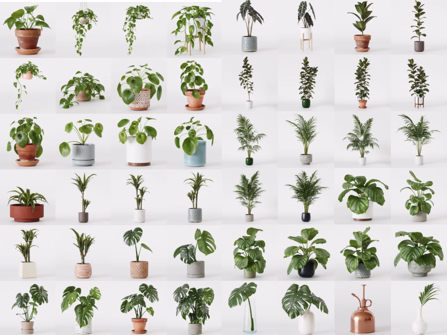高质量室内盆栽植物3D模型01.avif