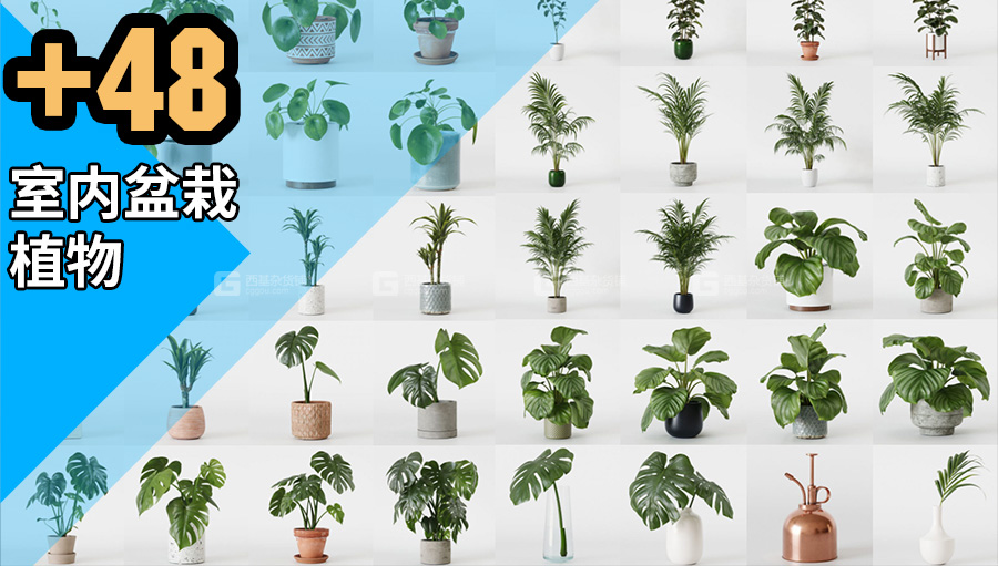 48个高质量室内盆栽植物3D模型.jpg