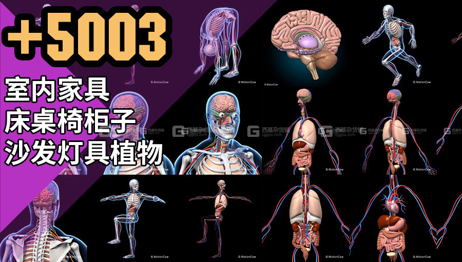 Clip_20240114_134723.jpg