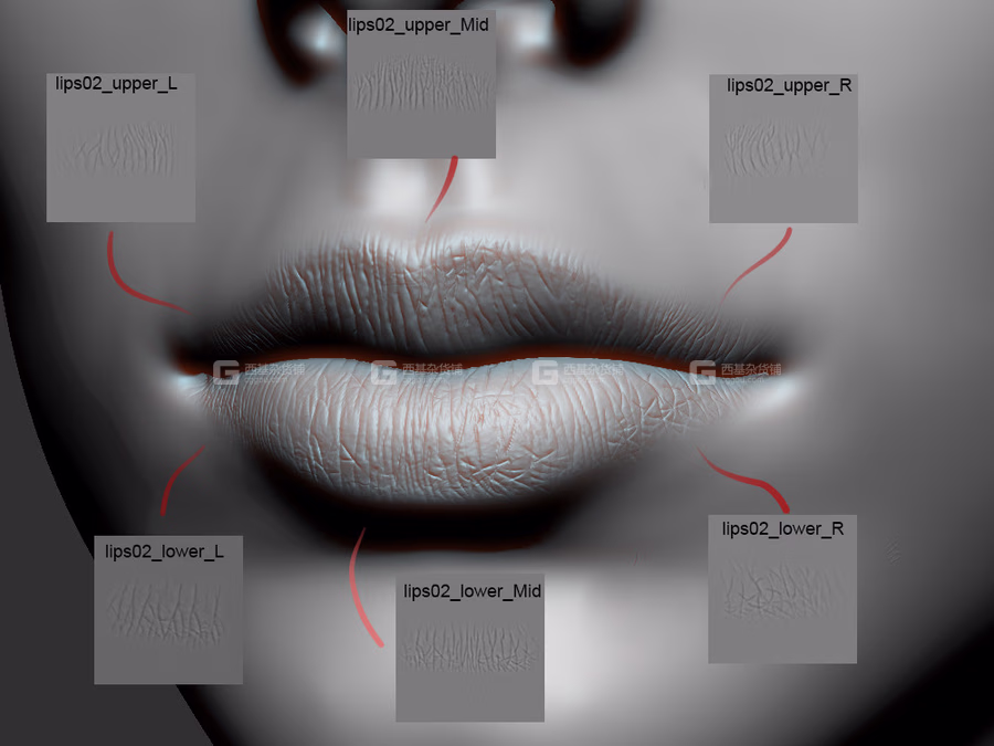 01-嘴唇细节纹理贴图 Artstation – Lips Detail Alpha Pack_06.avif