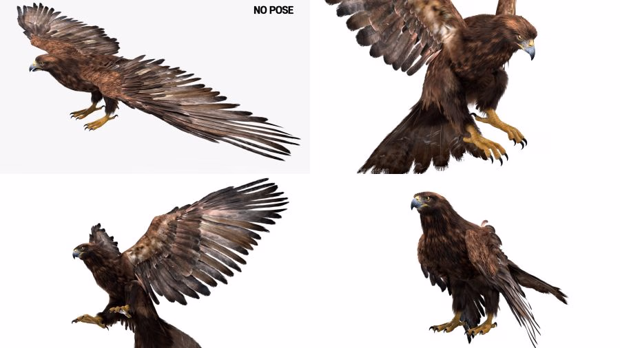 Maya绑定好的老鹰模型 TurboSquid – DisneyTD – Golden Eagle Fur Rigged_27.avif