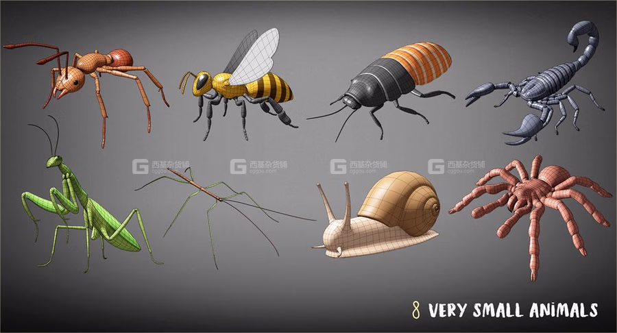 100种鱼类昆虫类动物类3D模型 Animals Base Meshes_47.avif