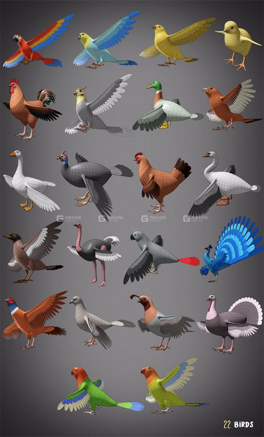 100种鱼类昆虫类动物类3D模型 Animals Base Meshes_45.avif