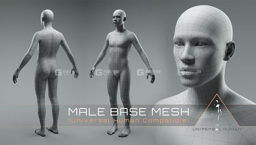 Blender男性人体3D模型预设 Universal Human Male Base Mesh v2.1_06.jpg