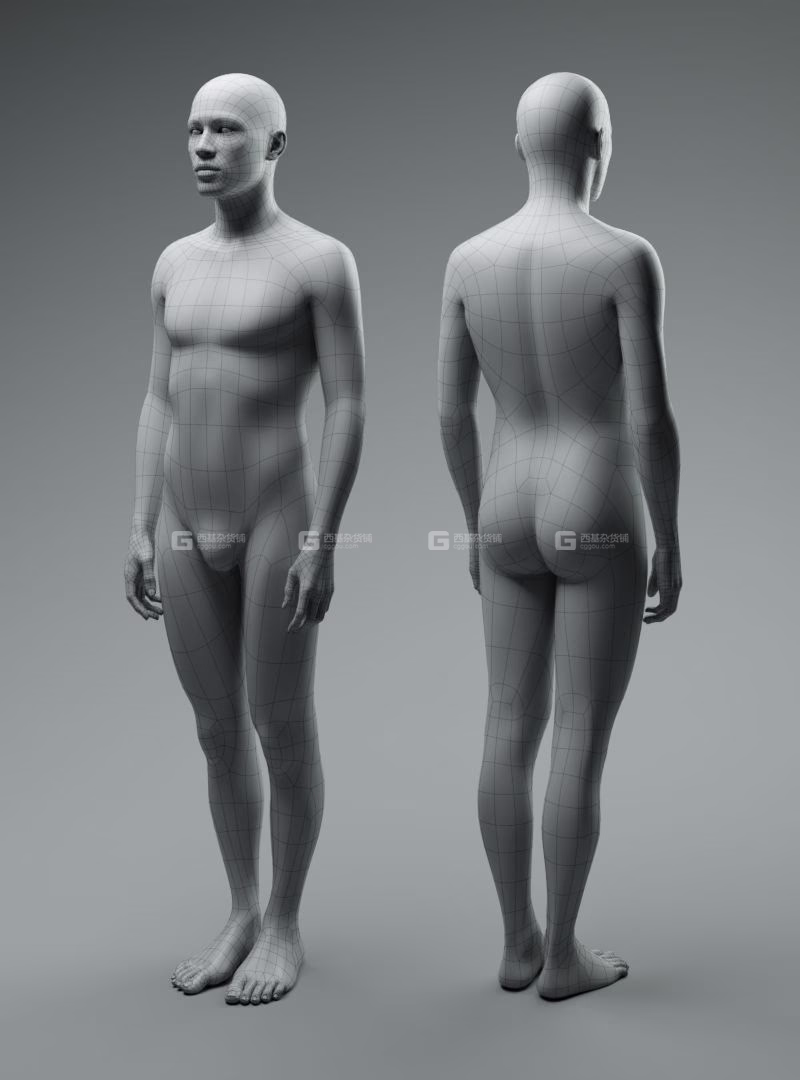Blender男性人体3D模型预设 Universal Human Male Base Mesh v2.1_39.avif