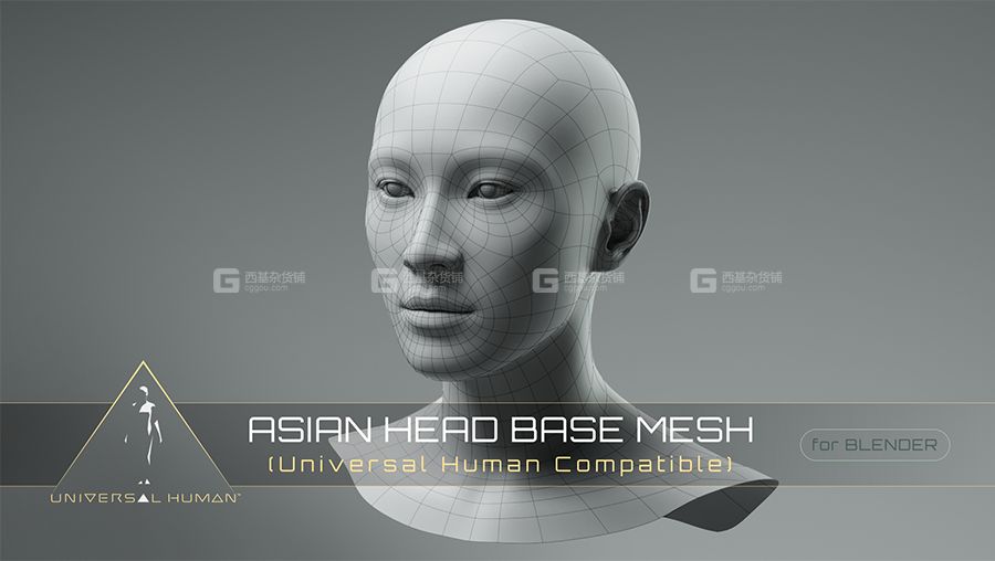 Blender男性头部3D模型 Universal Human Asian Head Base Mesh v2.1_07.jpg