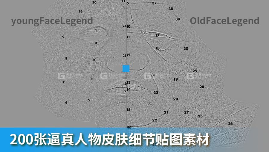 逼真青年老年面部皮肤细节贴图材质素材_03.jpg
