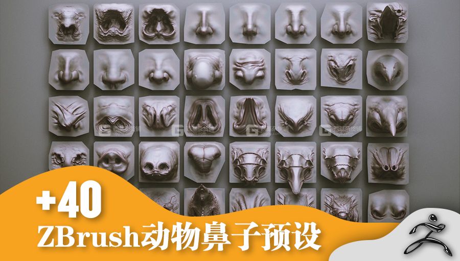ZBrush动物鼻子笔刷模型预设 Artstation Marketplace – NOSES – 40 ZBrush VDM Nasal Areas_14.jpg