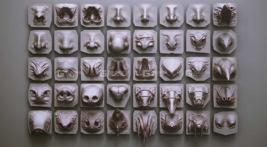 ZBrush动物鼻子笔刷模型预设 Artstation Marketplace – NOSES – 40 ZBrush VDM Nasal Areas_17.avif