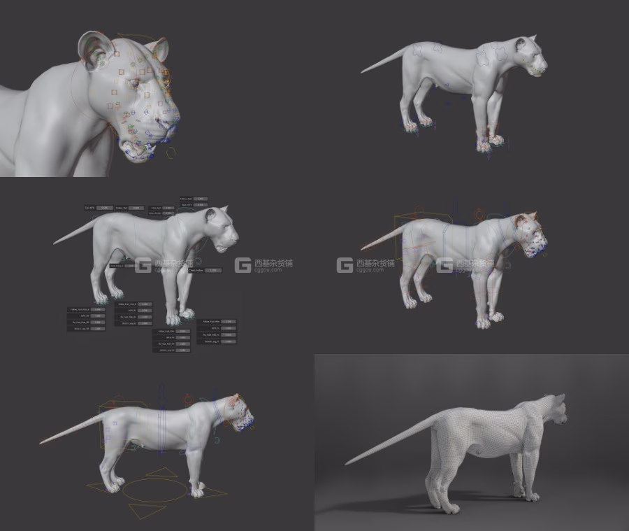 Blender狮子绑定3D模型 VFXGrace – Female Lion Rigged_03.avif