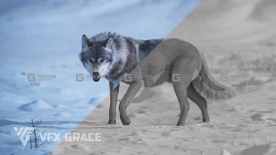 野狼绑定动画3D模型 Wolf Animation – VFX Grace_31.avif