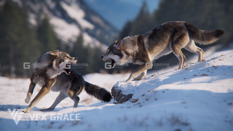 野狼绑定动画3D模型 Wolf Animation – VFX Grace_28.avif