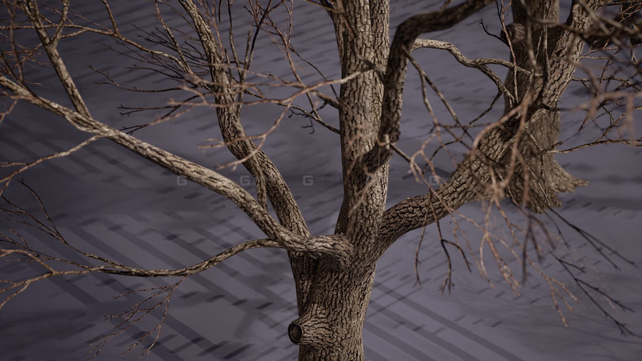枯树 Foliage VOL.8 - Dead Trees (Nanite and Low Poly)_55.avif