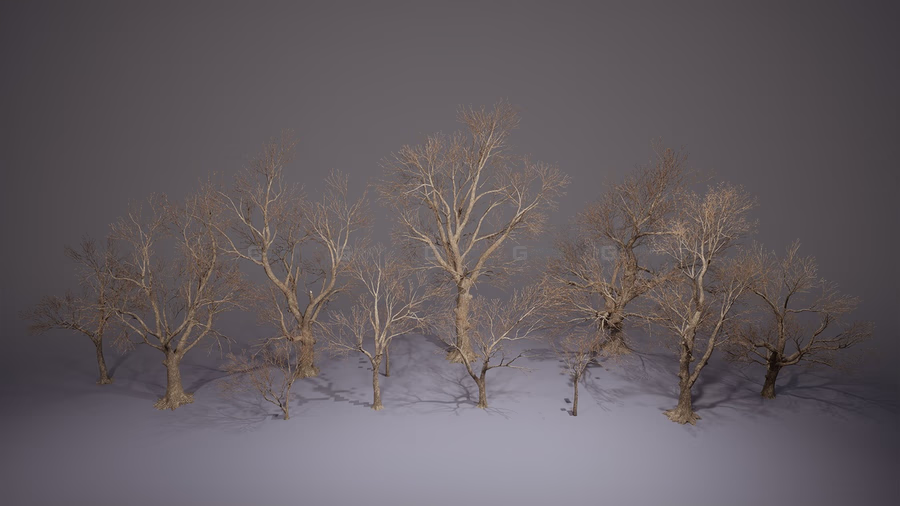 枯树 Foliage VOL.8 - Dead Trees (Nanite and Low Poly)_56.avif