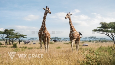 Blender长颈鹿绑定模型 Giraffe AnimatedFM.jpg