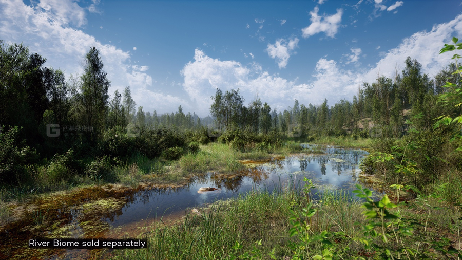 PCG 生物群落：森林杨树  PCG Biome Forest Poplar (Interactive Foliage Trees Wind System Nature)_08.avif