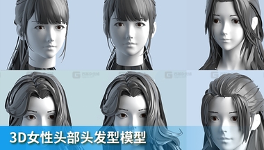 ZFM3D女性头部头发型模型.jpg